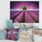 Designart - Stunning Lavender Field Summer Sunset With Tree - Farmhouse Canvas Wall Art Print